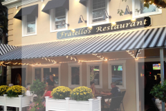 LightwingScreenShotFratellos1